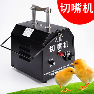 ��[����C�u���Z�g�������  �������C ��๙C ����C�Bֳ�O��