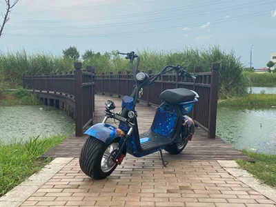 Elektrikli motosikletlər Harley Electric Vehicle Scooter