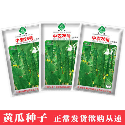 Ya Shi Fengming Vegetables seed cucumber Seeds Middle peasants 26 Cucumber seed 10 Vegetables seed wholesale