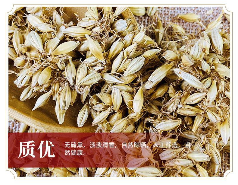 Dried Barley Malt Sprout Mai Ya 大麦芽 500g Whole Dried Sprouted Barley for Herbal Tea and Decoction key features