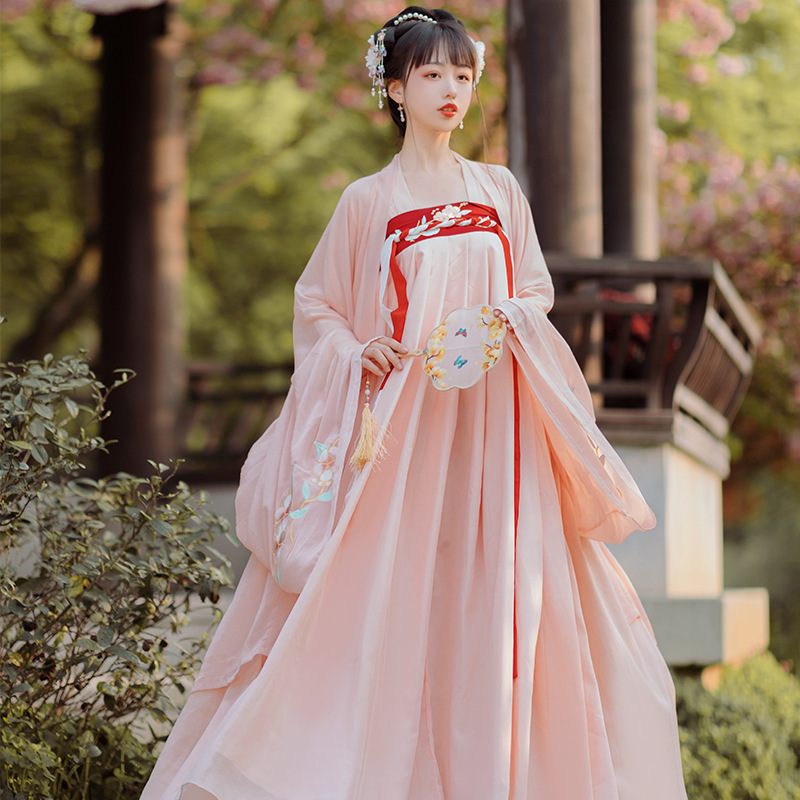 Pink hanfu fairy dress for women student photos shooting gown ancient traditional Tang Han Ming Wei folk costumes embroidery large-sleeved shirt