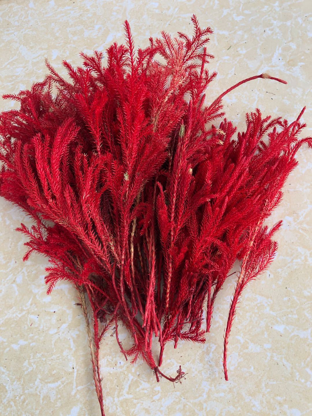 微信图片_20200221143005