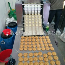 桃酥饼干成型机 饼干机 链条炉隧道烤炉  小型创业设备 厂家直销