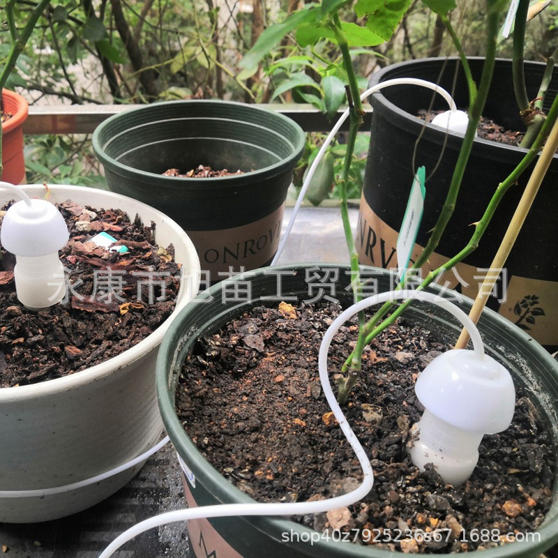 O1CN01QBX3eI1Pv9siJTdUY_!!0-ra