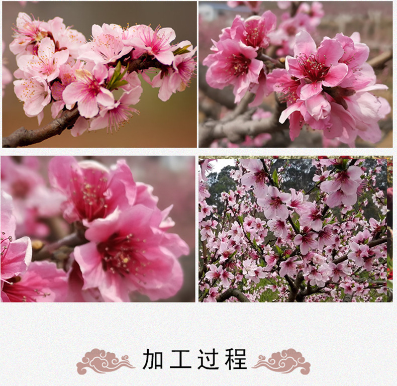 Dried Peach Blossom Tea Tao Hua 桃花 500g Loose Herbal Flower Tea for Daily Infusions preparation