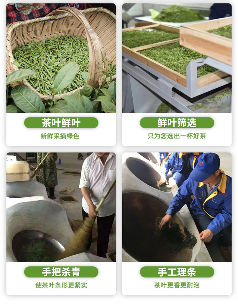 500g信阳毛尖礼盒装_03