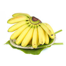 【批发团】广西小米蕉banana香蕉 应季水果 软糯香甜芭蕉黄皮代发