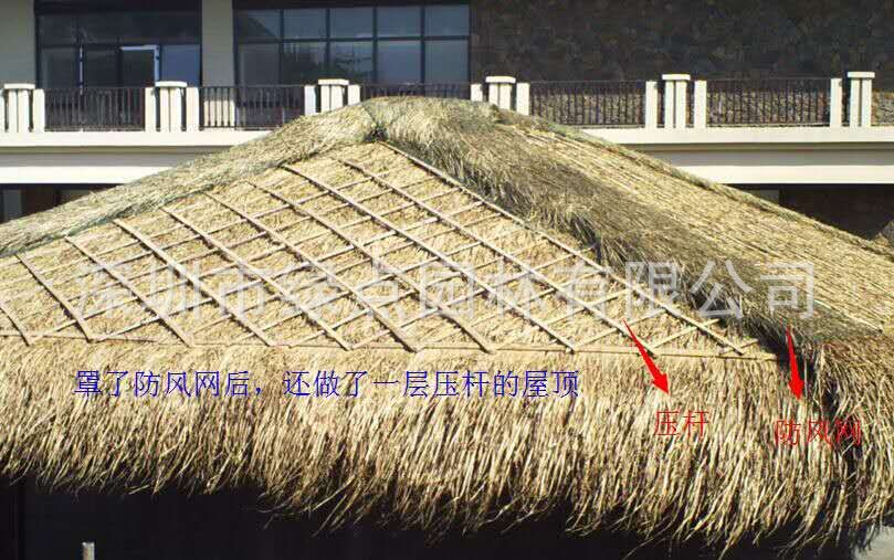 黄茅草屋顶 (6)