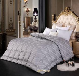 Down quilt core five-star hotel 95 white goose down single quilt thickened warm double winter quilt
