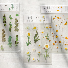 仿真小花PET透明防水貼畫小清新植物diy手機貼紙裝飾可愛手帳素材