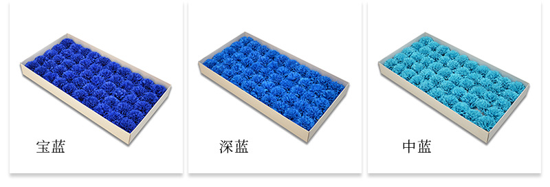 AL康乃馨详情_08