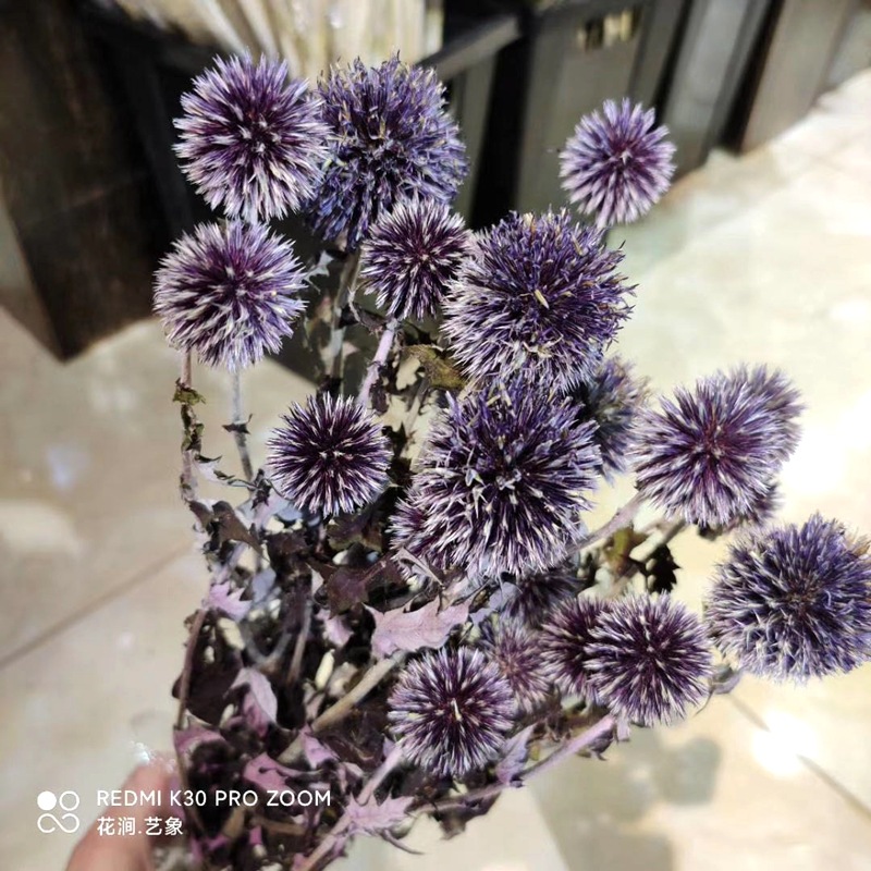 微信图片_20200717234216