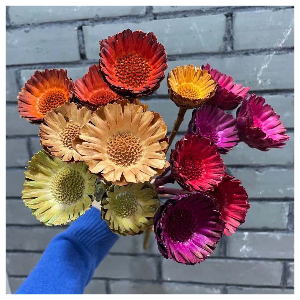 微信图片_20201209115215