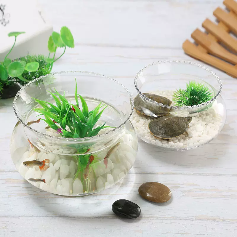 花边鱼缸玻璃各种规格透明水培绿色养殖玻璃器皿办公桌家居摆设