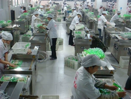 封口机械;裹包机械;塑料包装机械