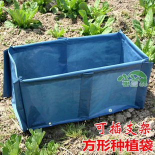 �{ɫ�L���ηNֲ��60*30*25 �Ľ��L߅�ɲ�6��֧���m������ ������