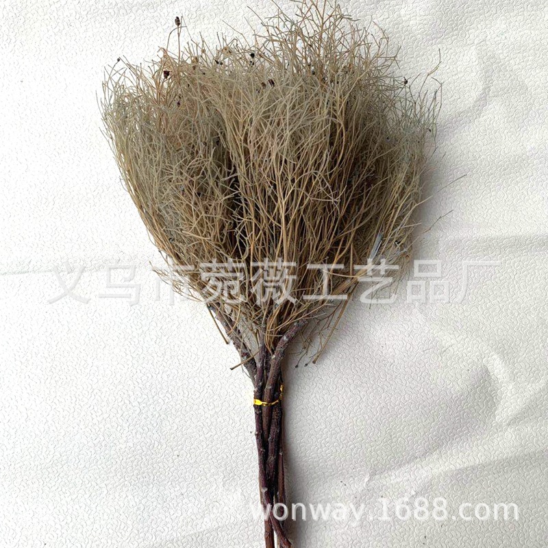 微信图片_20200527195228