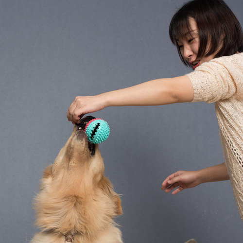 Pet Supplies Amazon Dog Toy Food Ball Rubber Teething Resistant Bite Bell Sound Ball Manufacturer