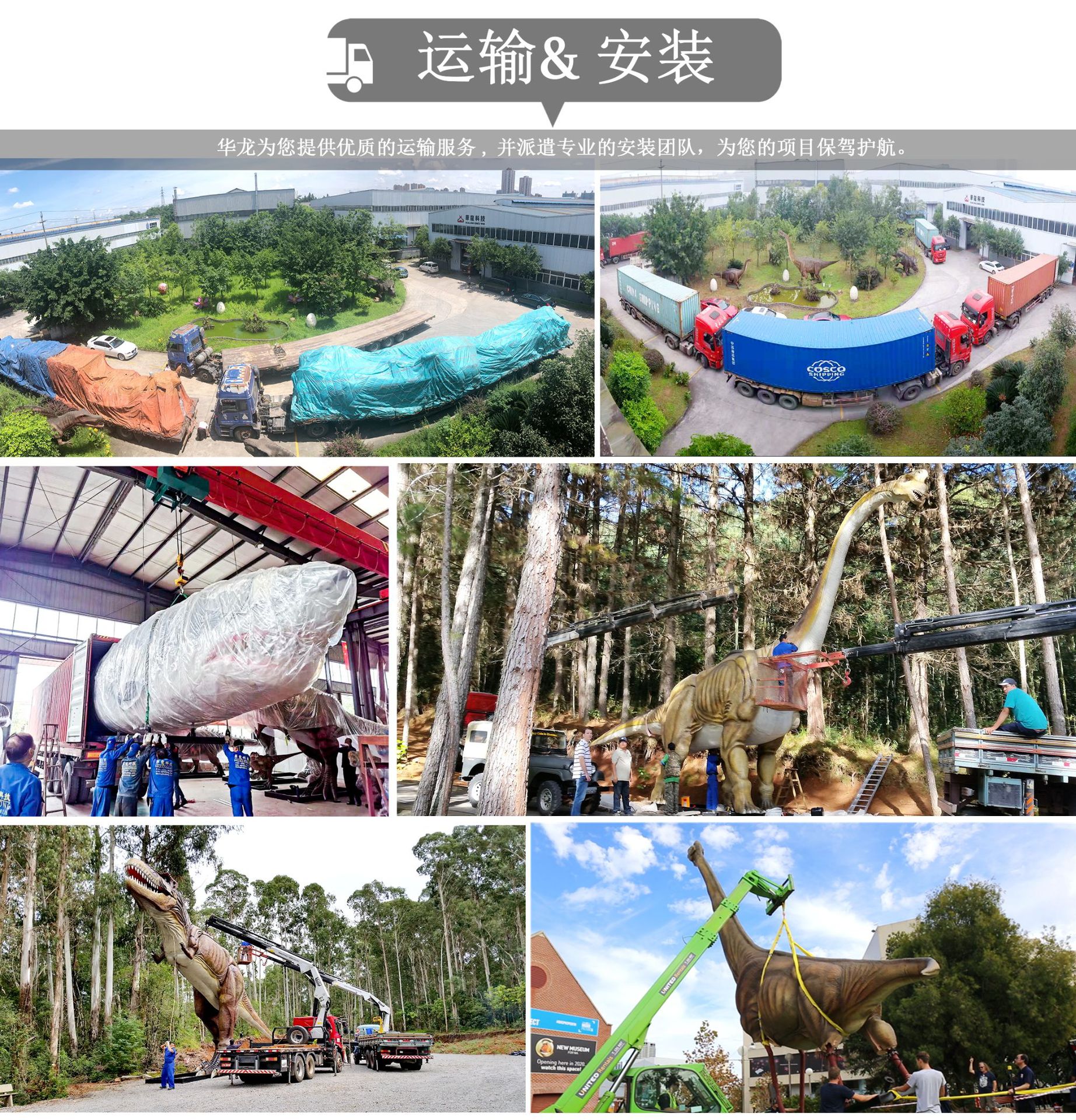 中文网站6_看图王