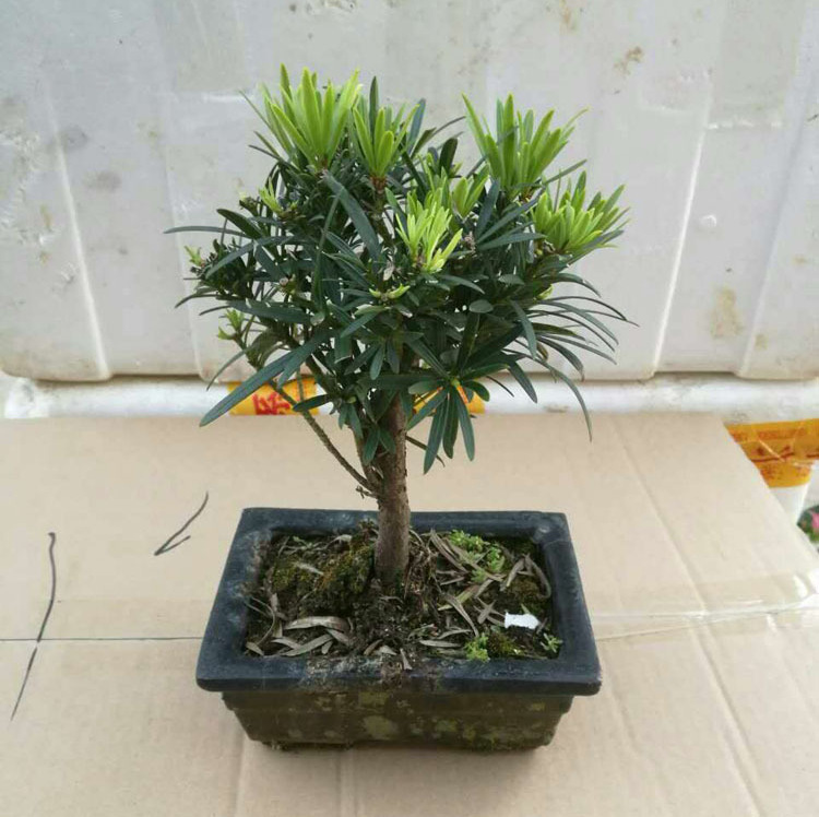 微信图片_20200511162337