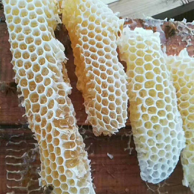 Shake jujube nectar now Xinjiang specialty Ruoqiang County Daughter River plant Base Date Honey Origin shipments