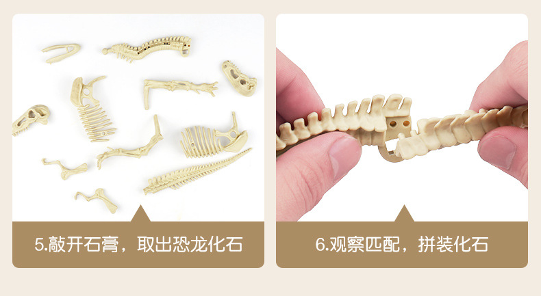 考古恐龙玩具详情下_09.jpg