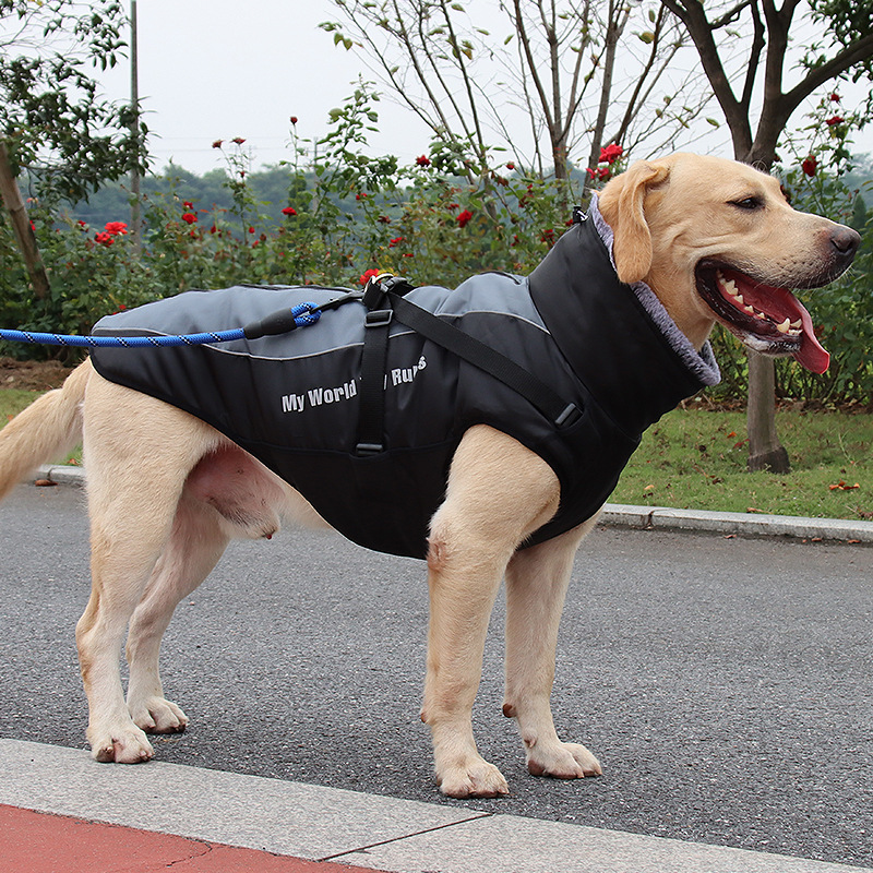 Großhandelszubehör Haustier Im Freien Plus Baumwollhundekleidung Nihaojewelry display picture 5