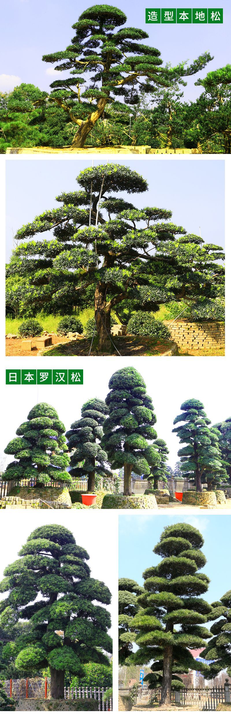 �޺���-����_05