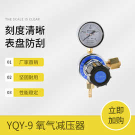 上海减压器YQY-9 1.6MPa 天川牌 氧气减压器 减压阀 氧气表调压阀