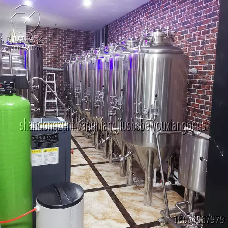 精酿啤酒设备 酒吧 自酿鲜啤 300L酿造现酿自制食品级
