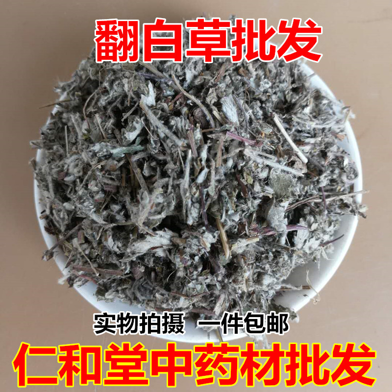 Dried Potentilla Root Fan Bai Cai Whole Herb 500g Traditional Herbal Decoction Ingredient overview