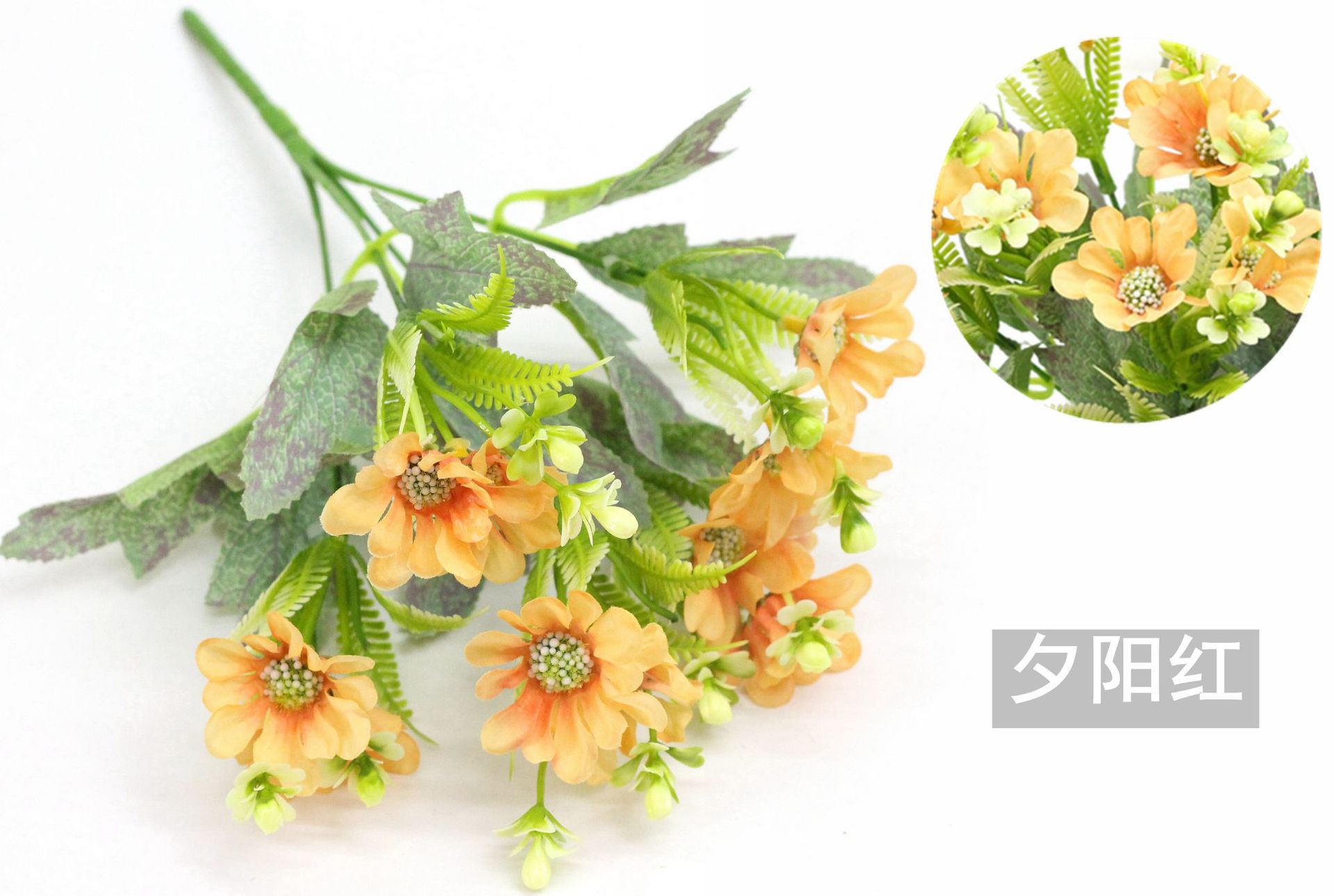 IMG_7608_副本_副本