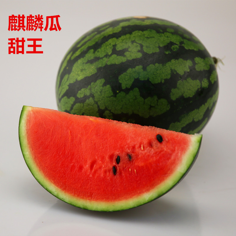 产地直发 6-7斤甜王西瓜麒麟瓜黑皮瓜黄肉红肉 新鲜水果现摘现发|ms
