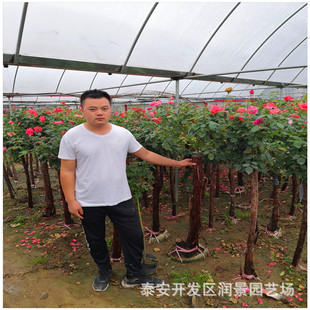 �ߗU�¼�����r�� ���� 2����3����4�����¼�����
