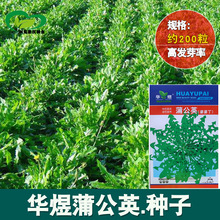 �ѹ�Ӣ�N�� �r��ˈ@���������Ŷ�����ʳ��������Ұ���߲˷N��