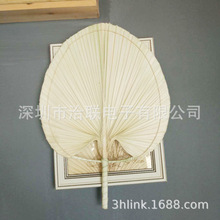 大圆白蒲扇装饰大蒲扇棕榈叶棕树叶芭蕉扇叶婚礼家居装饰扇子