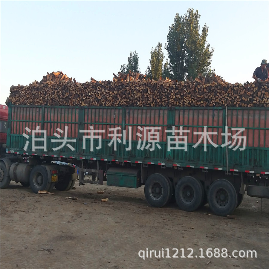 烤鸭烤肉枣木柴