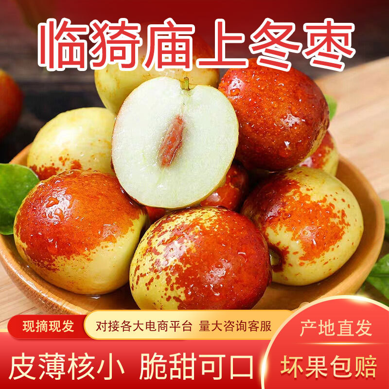 Shanxi Season Season fruit Place of Origin Straight hair Rock sugar crispy jujube Jujube pregnant woman fruit Can wholesale