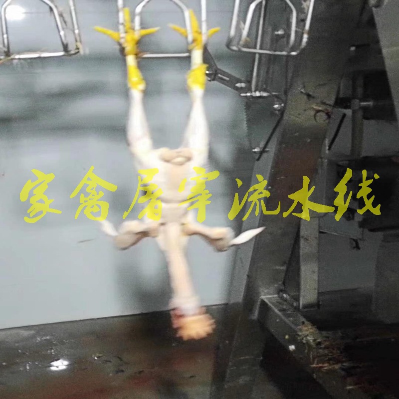 l 可定制家禽自动屠宰流水线  肉鹅鸭屠宰脱毛流水线设备