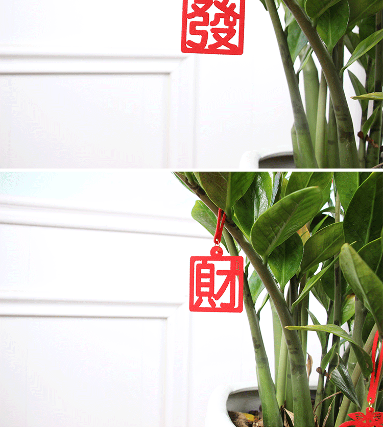 绿植挂件详情_04