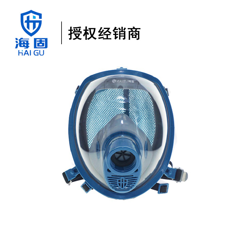 海固HG-800宝蓝灰硅胶全面罩  防毒防颗粒物双重过滤面罩带呼气阀