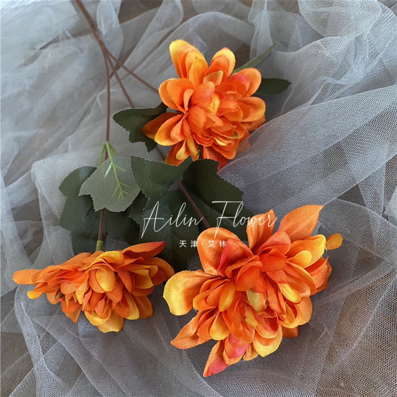 3 autumn colorful flowers