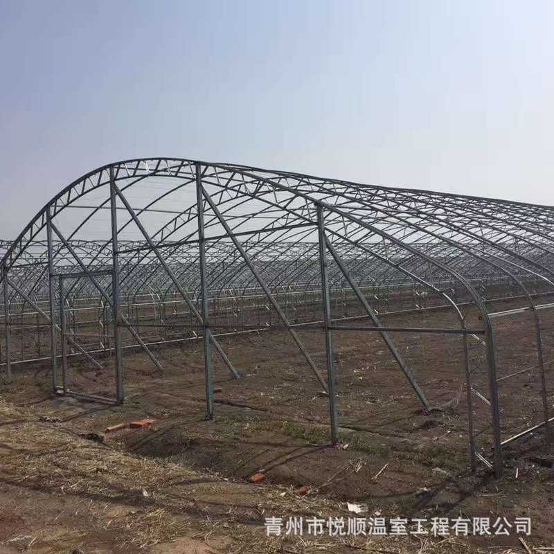 供应 日光阳光玻璃温室供应连栋薄膜阳光玻璃温室