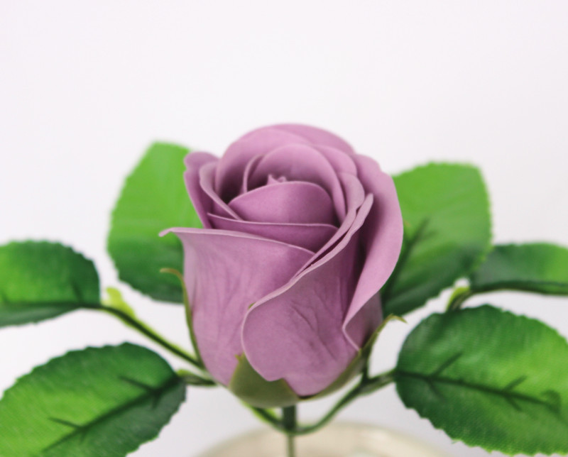 一键复制_20200227134220