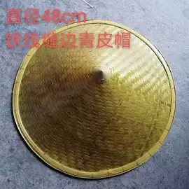 成人帽;表演/节庆帽;工作帽