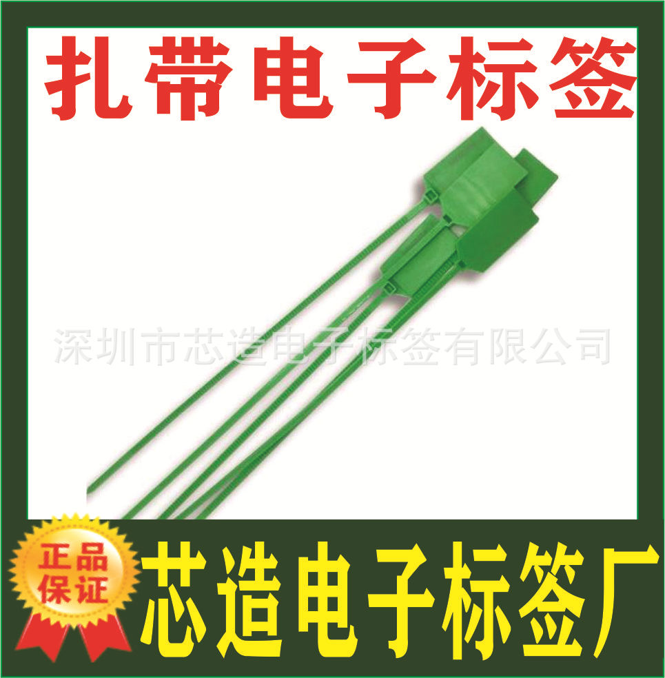 工厂定制塑料扎带标签 封条防盗扣芯片标签 标签标牌标签