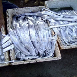 软体类;其他水产加工;蟹类