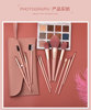Nude fuchsia soft brush, foundation, tools set for beginners, 7 pieces, 12 pieces