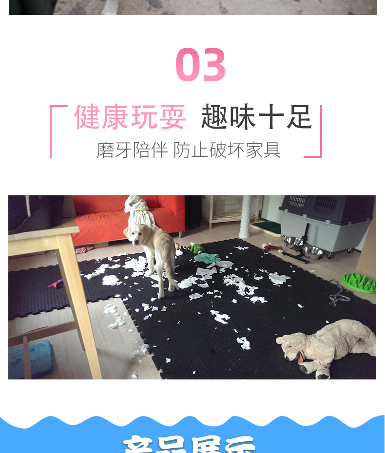 恐龙3详情页(1)_005.png