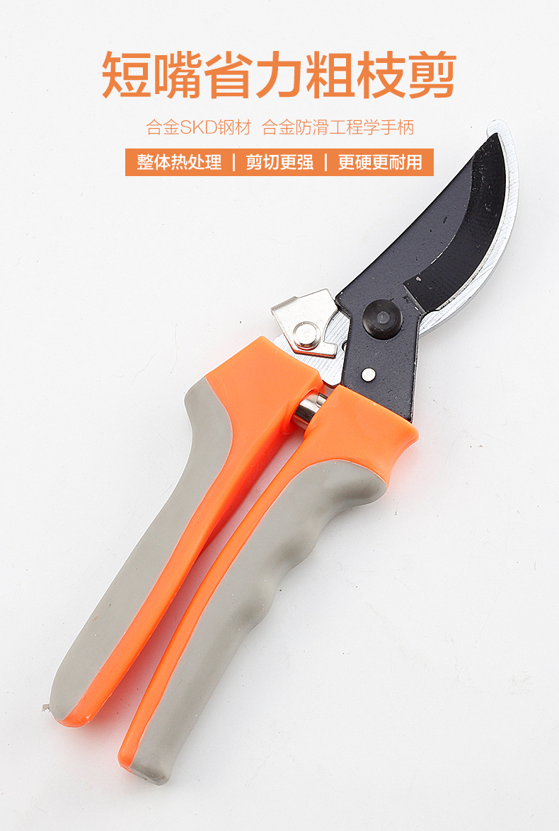 园林剪刀1_01.jpg